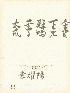 太子殿下今天破戒了吗免费阅读