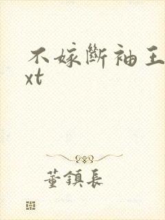 不嫁断袖王爷txt