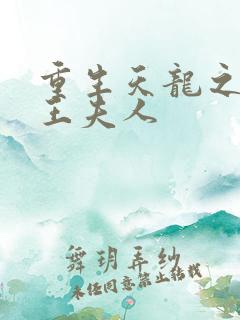 重生天龙之推倒王夫人