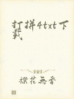 打拼4txt下载
