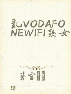 乱VODAFONEWIFI熟女