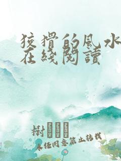 狡猾的风水相师在线阅读