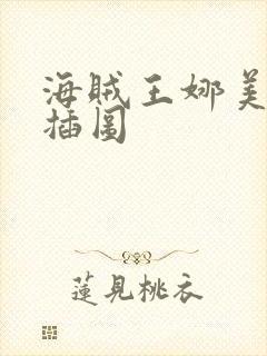 海贼王娜美被轮插图