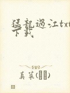 猛龙过江txt下载