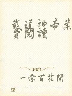 武道神帝叶辰免费阅读