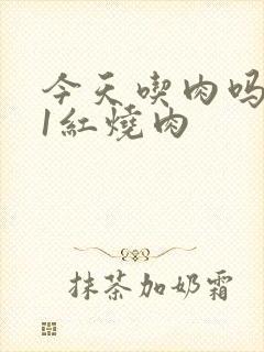 今天吃肉吗1V1红烧肉