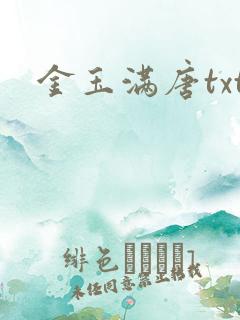 金玉满唐txt