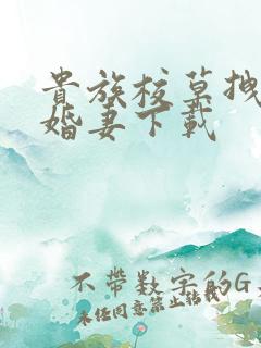 贵族校草拽拽未婚妻下载