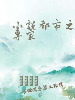 小说都市之军火专家