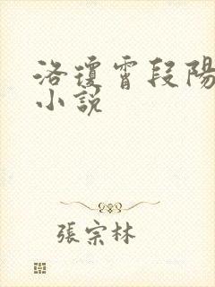 洛琼霄段阳澍的小说