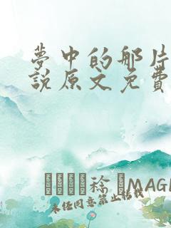 梦中的那片海小说原文免费阅读