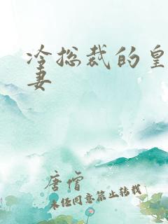 冷总裁的皇后暖妻