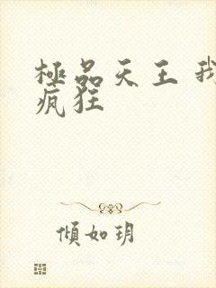 极品天王 我本疯狂