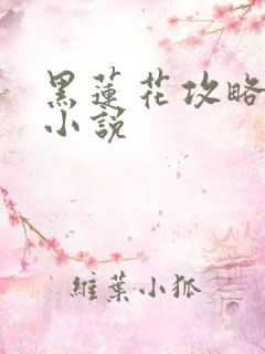 黑莲花攻略手册小说