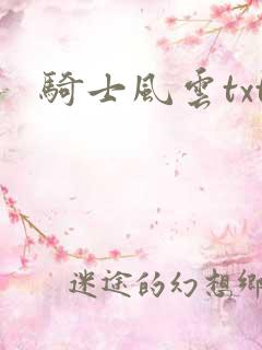 骑士风云txt
