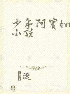 少年阿宾txt小说