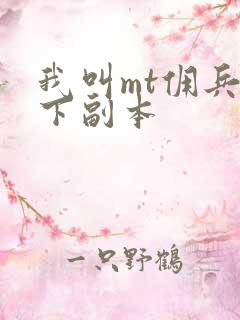 我叫mt佣兵天下副本