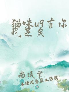 猫咪u9有你有我足矣