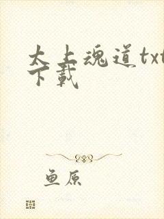 太上魂道txt下载