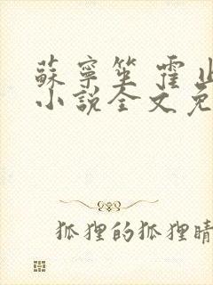 苏宁笙 霍止行小说全文免费阅读