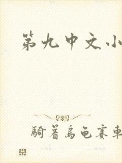 第九中文小说网