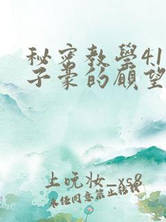 秘密教学41话子豪的愿望是