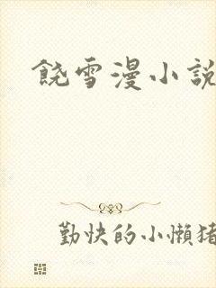 饶雪漫小说下载