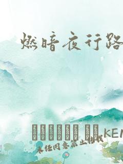 燃暗夜行路