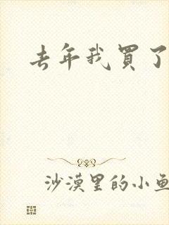 去年我买了个表