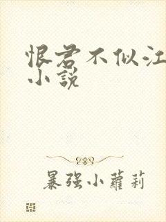 恨君不似江楼月小说