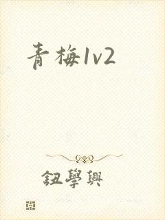 青梅1v2