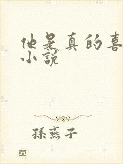 他是真的喜欢你小说