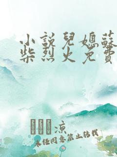 小说儿媳苏玥干柴烈火免费阅读