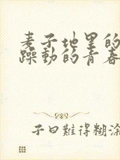 麦子地里的故事躁动的青春小说