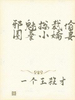 邪魅总裁偷心计圈养小娇妻