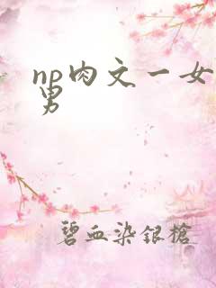 np肉文一女多男