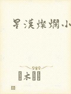 星汉灿烂小说