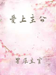 爱上主公