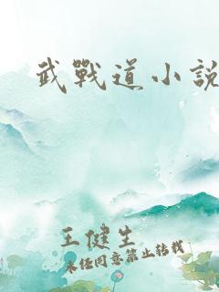 武战道小说