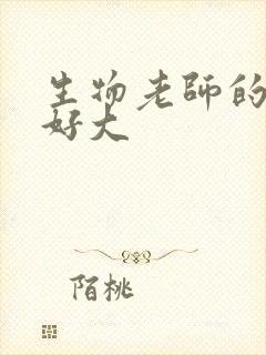 生物老师的兔子好大