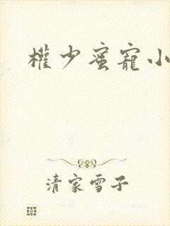 权少蜜宠小娇妻