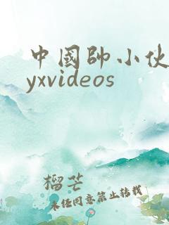 中国帅小伙gayxvideos
