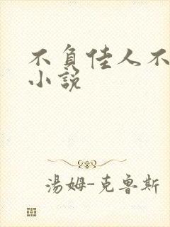 不负佳人不负卿小说