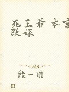 死王爷 本宫已改嫁