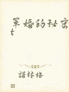 军婚的秘密txt