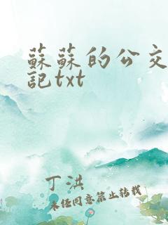 苏苏的公交车日记txt