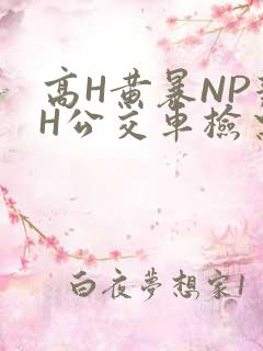 高H黄暴NP辣H公交车检票员