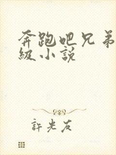 奔跑吧兄弟限制级小说