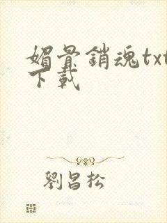 媚骨销魂txt下载