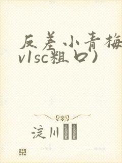 反差小青梅(1v1sc粗口)